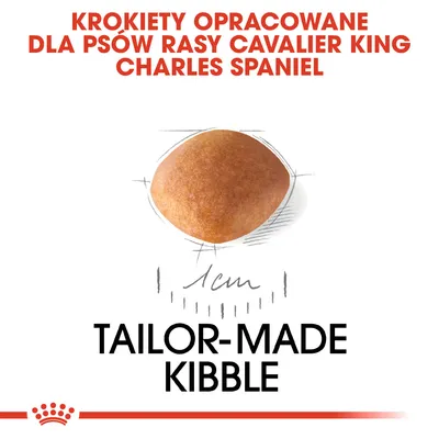 Krokiety opracowane dla psów rasy Cavalier King Charles Spaniel, średnica 1 cm. Tekst: TAILOR-MADE KIBBLE.