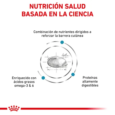 Nutrición salud basada en la ciencia. Combinación de nutrientes para reforzar la barrera cutánea, enriquecido con ácidos grasos omega-3 y 6, proteínas altamente digestibles.