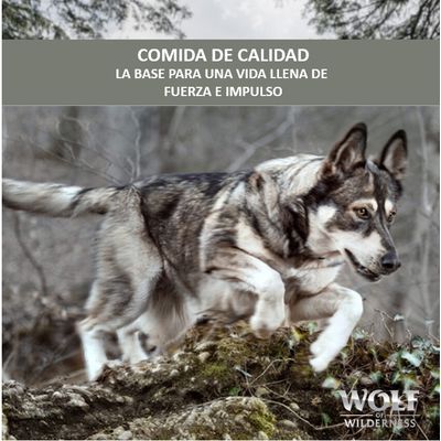 COMIDA DE CALIDAD. La base para una vida llena de fuerza e impulso. Wolf of Wilderness.