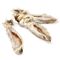 Wolf of Wilderness - Orecchie di Coniglio con pelo 200 g (10 pz)