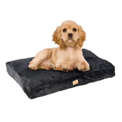 Cane sdraiato su un cuscino rettangolare nero in tessuto, etichetta visibile sul lato anteriore del cuscino.