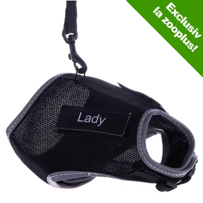 Ham negru cu etichetă inscripționată „Lady”, material textil, margini gri, carabină de prindere. Colț verde cu text: Exclusiv la zooplus! Ham negru cu etichetă inscripționată „Lady”, material textil, margini gri, carabină de prindere. Colț verde cu text: Exclusiv la zooplus!