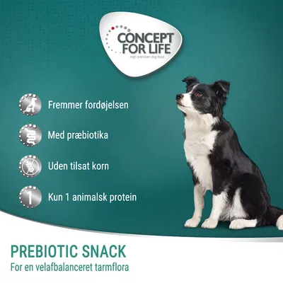 CONCEPT FOR LIFE. Fremmer fordøjelsen, med præbiotika, uden tilsat korn, kun 1 animalsk protein. PREBIOTIC SNACK for en velafbalanceret tarmflora. Sort-hvid hund ved siden af tekst.