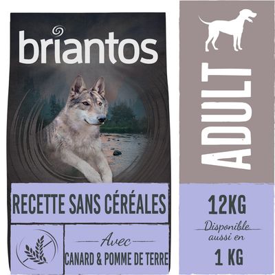 Briantos RECETTE SANS CÉRÉALES avec canard & pomme de terre, ADULT, sac 12 kg, disponible aussi en 1 kg. Image d’un chien devant un paysage naturel.