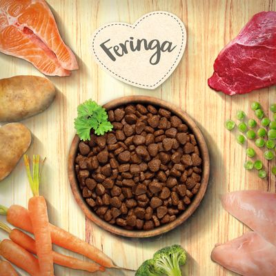 Feringa dry food in a bowl, surrounded by salmon, beef, chicken, potatoes, carrots, peas and broccoli. Feringa brand name visible.