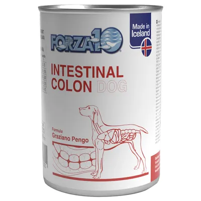 FORZA10 INTESTINAL COLON DOG koiran märkäruoka, Made in Iceland, Formula Graziano Pengo. Koiran piirros ja suoliston kuva etiketissä.