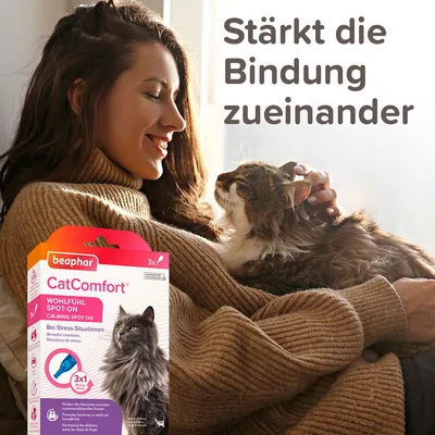 Beaphar CatComfort Wohlfühl Spot-On, beruhigt bei Stress-Situationen, fördert Harmonie zwischen Katze und Besitzer. Text: Stärkt die Bindung zueinander.