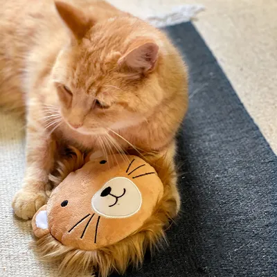 Giocattolo di peluche a forma di leone su tappeto, sdraiato accanto a un gatto arancione.