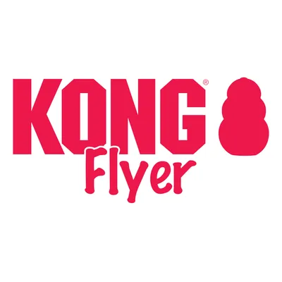 KONG Flyer. Markenname und Produktbezeichnung sichtbar.