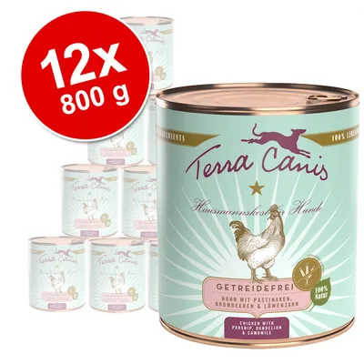 Terra Canis Hausmannskost for dogs, grain-free, chicken with parsnips, blackberries & dandelion. Pack: 12 cans of 800 g, 100% natural.