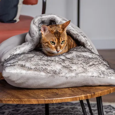 Chat allongé dans un tunnel ou sac de couchage en tissu gris et fausse fourrure, posé sur une table en bois. Le matériau visible est doux, type polaire et fourrure synthétique.