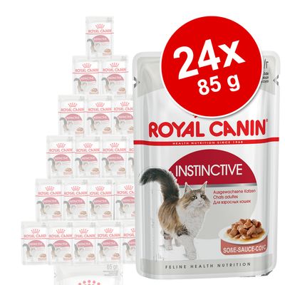 Lot mixte 24 x 85 g Royal Canin en gelée et en sauce Appetite Control Care en sauce et en gelée