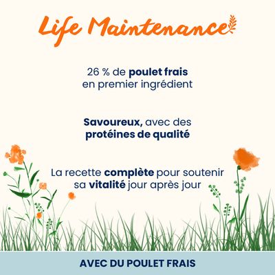 Sac de croquettes pour chat adulte almo nature Life Maintenance, 2 kg, avec poulet frais. Texte visible : Adult Cat Dry Pet Food, With Fresh Chicken, Fondazione Capellino.