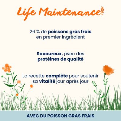 Almo Nature Holistic poisson gras, riz pour chat