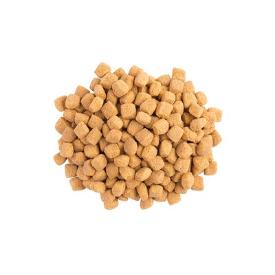 Purina Veterinary Diets Feline OM - Obesity Management