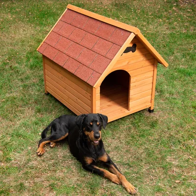 Hondenhok van hout met rood shinglesdak, rechthoekige ingang en zwart botmotief. Hond ligt ervoor op groen gras.