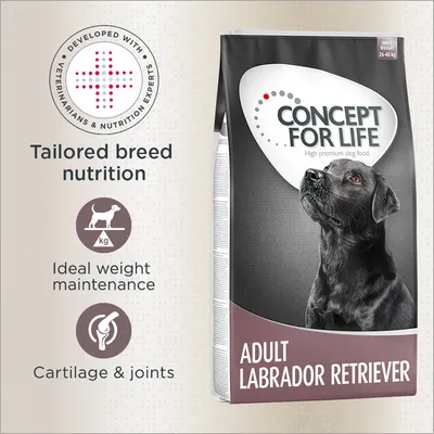 Concept for Life Labrador Retriever Adult