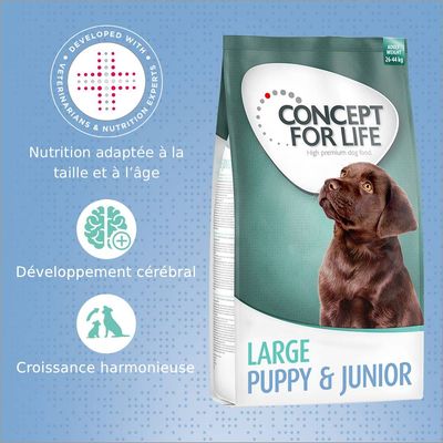 Concept for Life Large Junior pour chien