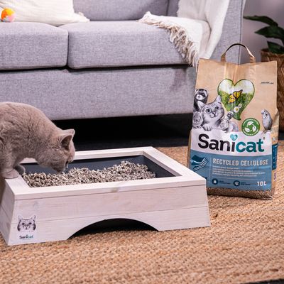 Chat gris devant un bac à litière en bois rempli de litière, sac Sanicat Recycled Cellulose 10L visible à côté avec illustrations de chats et texte de marque.