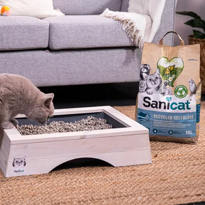 Sanicat Recycled Cellulose arena para gatos, 10L, junto a un arenero de madera con un gato gris. El envase muestra el símbolo de reciclaje y un motivo de gato.