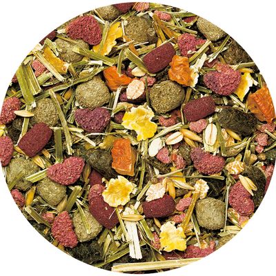 Vitakraft LIFE Power Hauptfutter für Meerschweinchen, Made in Germany, ohne Zuckerzusatz, mit Vitaminen, Mineralien, Immune Active, Dental Care und leichter Verdauung.