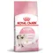 Royal Canin Kitten Trockenfutter 2 kg