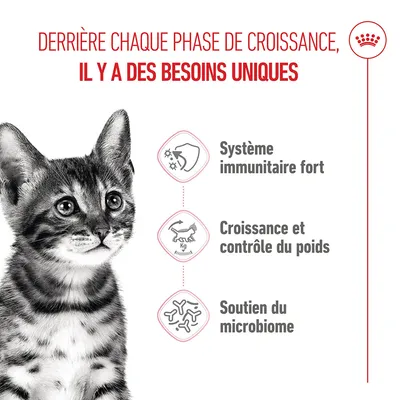 Un système immunitaire fort, la croissance et le contrôle du poids ainsi que le soutien du microbiome sont des besoins essentiels à chaque phase de croissance.