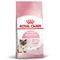Royal Canin Mother & Babycat 400 g