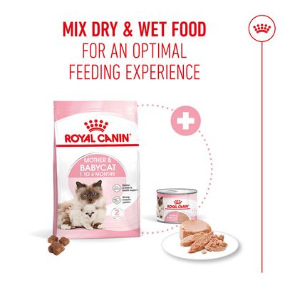 <h2>Royal Canin Mother & Babycat Tørfoder</h2>
<p>Komplet tørfoder til katte, specielt udviklet til drægtige og diegivende katte samt killinger fra 1. til 4. måned. Med et særligt næringsstofkompleks, der understøtter immunforsvaret og fremmer en sund fordøjelse.</p>