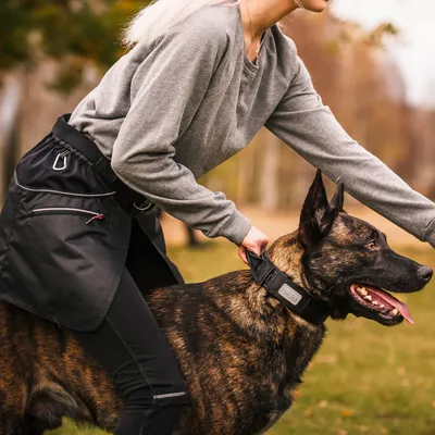 Person håller en hund med ett svart halsband med en synlig metallbricka. Utomhusmiljö med träd i bakgrunden.