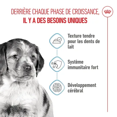 Texte : Derrière chaque phase de croissance, il y a des besoins uniques. Texture tendre pour les dents de lait, système immunitaire fort, développement cérébral.