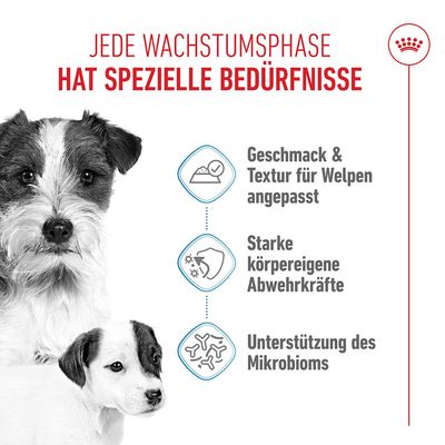 Royal Canin Starter Mother & Babydog Ultra Soft Mousse