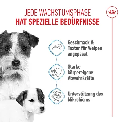 Royal Canin Starter Mother & Babydog Ultra Soft Mousse - 12 x 195 g