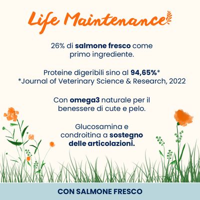 Life Maintenance: 26% salmone fresco come ingrediente principale, fino al 94,65% di proteine altamente digeribili, con Omega 3 per pelle e pelo, glucosammina e condroitina a sostegno delle articolazioni.