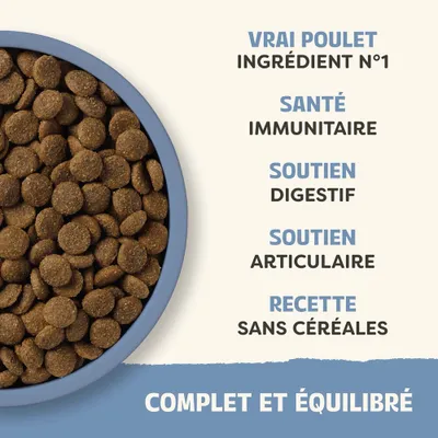 Bol avec croquettes, Texte : véritable poulet comme ingrédient principal, soutien du système immunitaire, digestion, articulations, recette sans céréales, complet et équilibré.