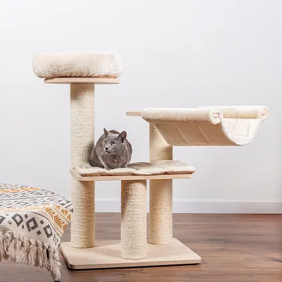 Кошка на многоуровневом бежевом когтеточке с лежанкой, гамаком и столбиками из сизаля на деревянной основе