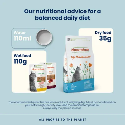 Almo Nature Functional Kibble for Cats Economy Packs 2 x 12kg - Oily Fish & Rice