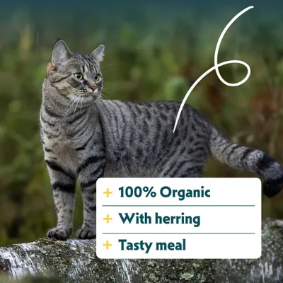 100% organic, cu hering, masă gustoasă