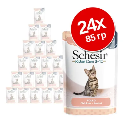 Schesir Kitten Care 3–12, курица, упаковка 24×85 г. На изображении пачки корма с котёнком на упаковке и надписью '24x 85 г' в красном круге. Schesir Kitten Care 3–12, курица, упаковка 24×85 г. На изображении пачки корма с котёнком на упаковке и надписью '24x 85 г' в красном круге.