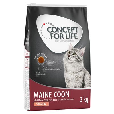 3 kg Concept for Life -25% kedvezmény Maine Coon Adult lazac - gabonamentes receptúra!