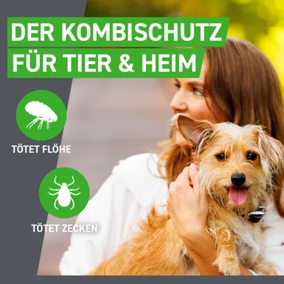 Frontline® Combo Spot-on Hund S (2 - 10 kg) Frontline® Combo Spot-on Hund S (2 - 10 kg)