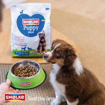 SMØLKE Puppy Maxi droogvoer, hond naast voerbak en voederzak. Tekst: feed the love, Complete all-in-one hondenvoer, optimale groei.