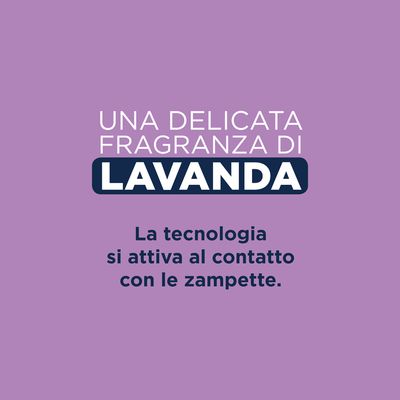 Lettiera agglomerante Ever Clean® Lavender