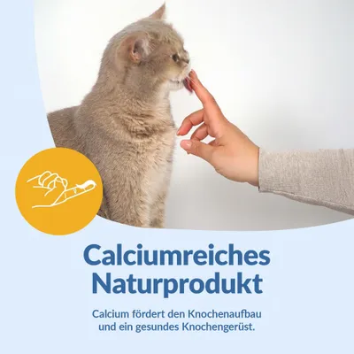 GimCat Milch - Sparpaket: 6 x 200 ml