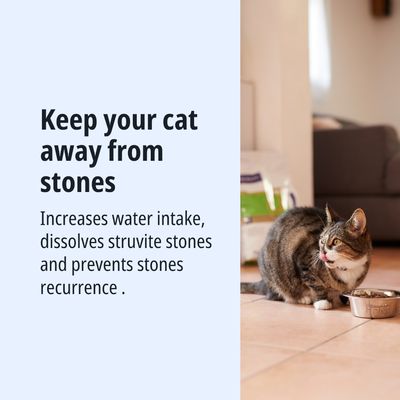 Aumenta l'assunzione di acqua, dissolve i calcoli di struvite e previene la ricomparsa dei calcoli nei gatti.