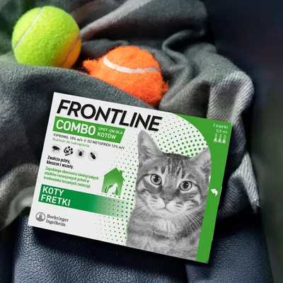 Opakowanie Frontline Combo Spot-On dla kotów i fretek, 3 pipetki po 0,5 ml. Zwalcza pchły, kleszcze i wszy. Fipronil 10%, (S)-metopren 12%. Boehringer Ingelheim.