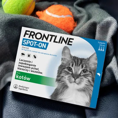 FRONTLINE SPOT-ON dla kotów, 3 pipetki po 0,5 ml. Leczenie i zapobieganie inwazjom pcheł, kleszczy i wszołów. Boehringer Ingelheim.
