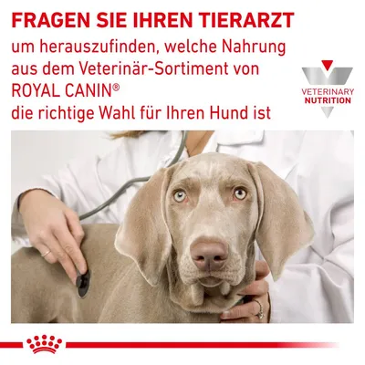 Текст на немецком: FRAGEN SIE IHREN TIERARZT ... ROYAL CANIN ... VETERINARY NUTRITION. Ветеринар осматривает собаку стетоскопом, логотип Royal Canin и Veterinary Nutrition.