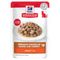 Hill's Science Plan Adult Truthahn (12 x 85 g)