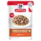 Hill's Science Plan Adult lot économique : dinde (24 x 85 g)